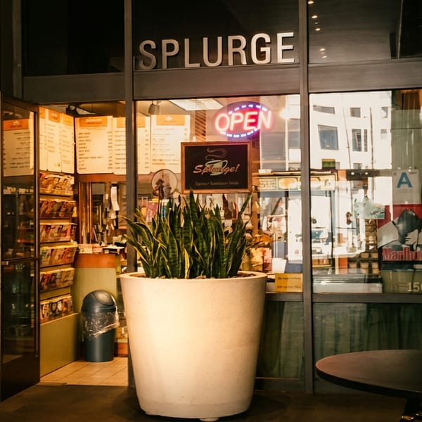 Exterior view of SPLURGE restaurant with an 'OPEN' sign, potted plant, and outdoor seating.