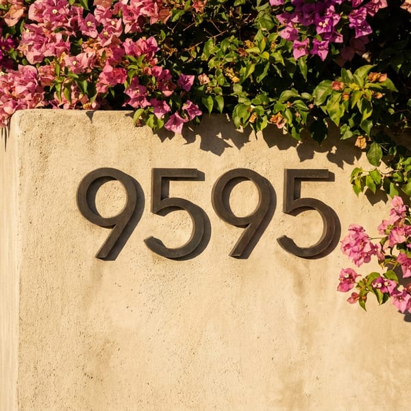 Concrete wall with black numbers '9595' and vibrant pink bougainvillea flowers cascading over the top.
